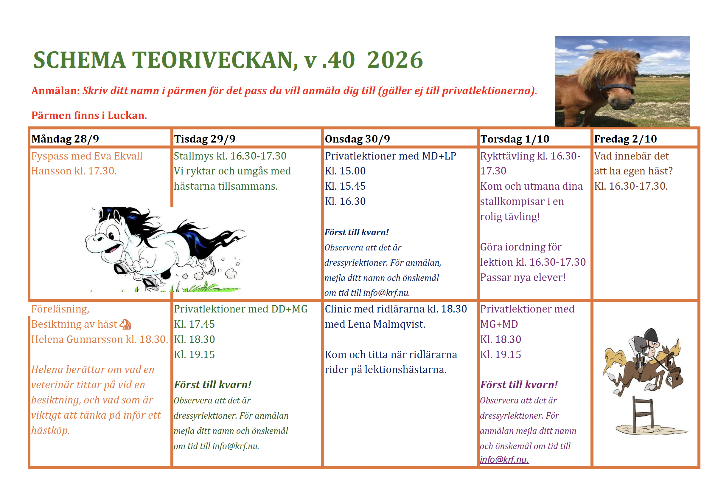 Teorivecka