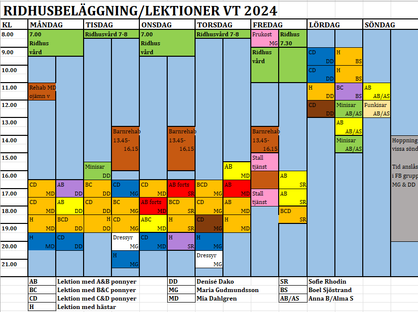 Verksamhetsschema vt 2024