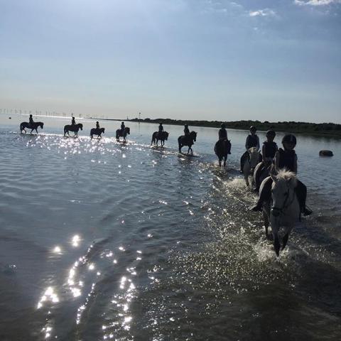 Terminsstart HT 2018