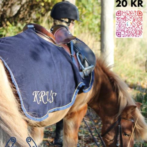 ponnyledning