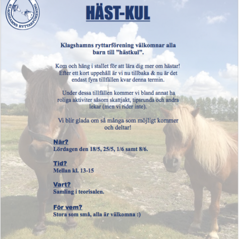 Häst-Kul