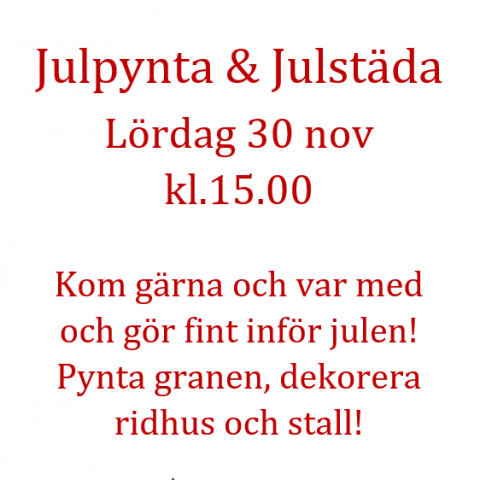 Julpynta & Julstäda