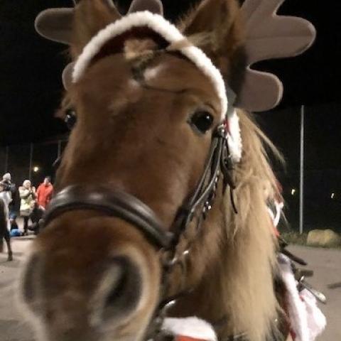 Julklappshoppning