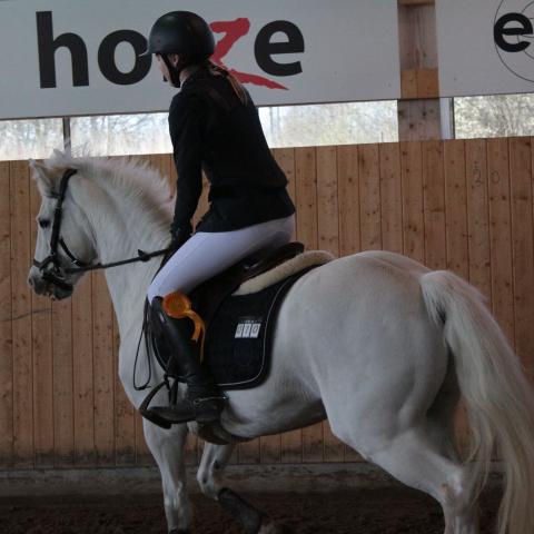 Banhoppning CD ponnyer