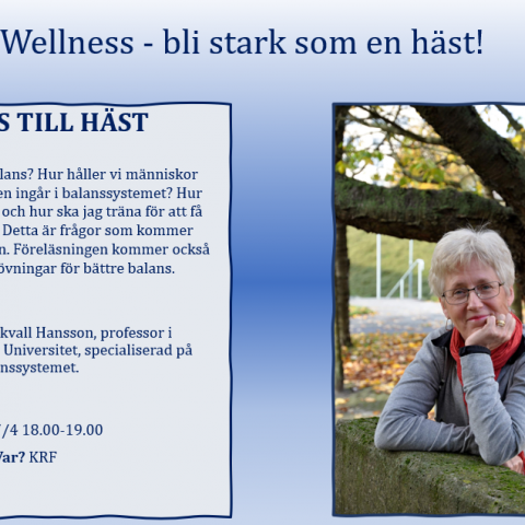 Balans till häst