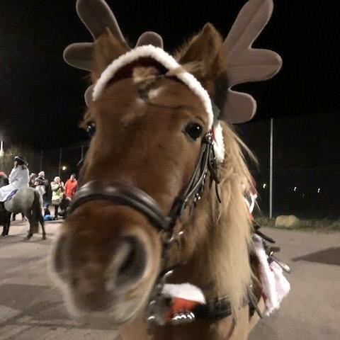 Julklappshoppning